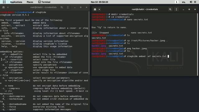 Hide your secret data into images with Kali Linux. смотреть онлайн