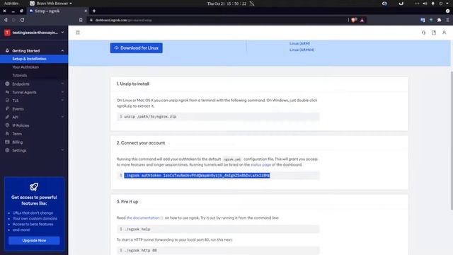 Share Files with Anyone using ngrok смотреть онлайн