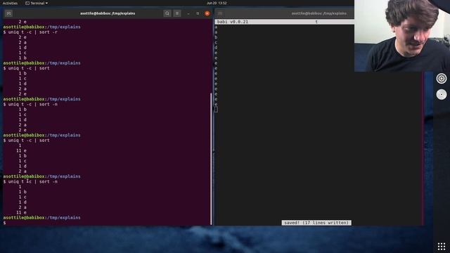 the `uniq` command (+ some `sort`) (beginner - intermediate) anthony explains #307 смотреть онлайн