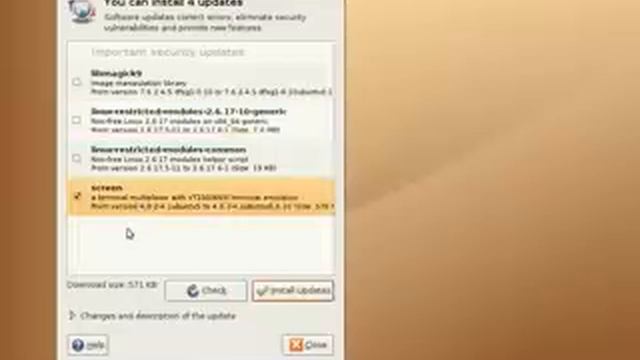 Installing Updates on Ubuntu смотреть онлайн
