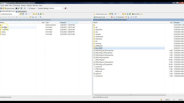 How to run a Data Transformation project in a server machine by CM console command line смотреть онлайн