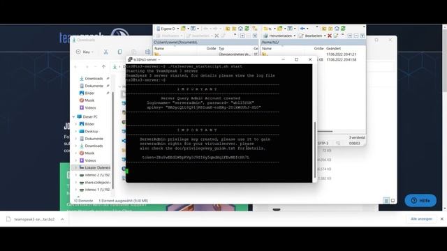 TeamSpeak 3 Server installieren auf Linux || 2022 смотреть онлайн