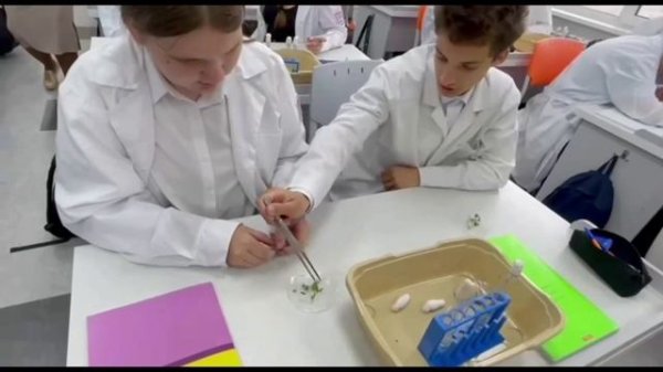 Необычный учебный день