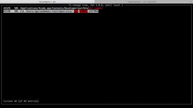 Zsh Navigation Tools – n-history, n-kill, n-cd смотреть онлайн