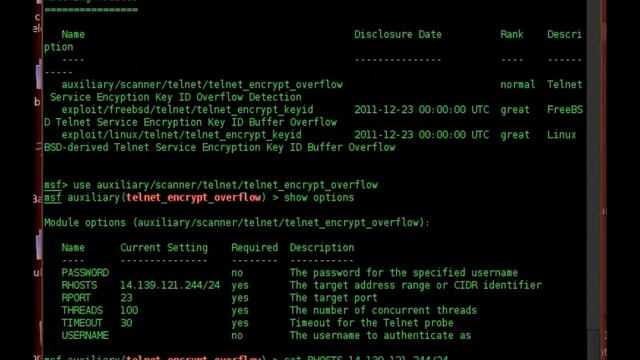 Metasploit: Telnet Service Encrypton Key ID Overflow Detection смотреть онлайн
