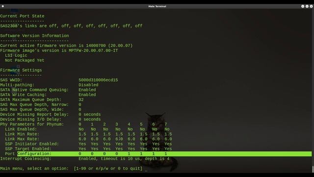 Something strange with LSI 9206-16e... | How to fix LSI firmware settings смотреть онлайн