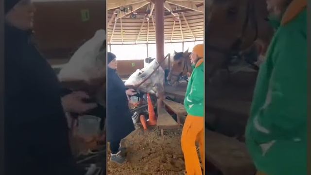 Отличная новость от 1 марта смотреть онлайн