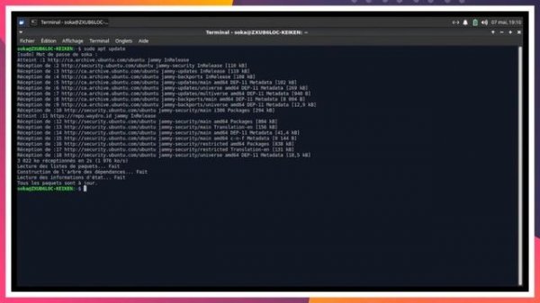 Installation WayDroid-Linux Beta 01.30.2023 | S01E010