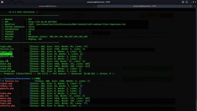 TryHackMe #354 ffuf смотреть онлайн