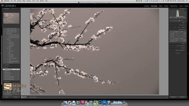 QT4 - Sepia смотреть онлайн