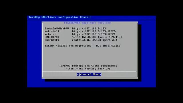 Turnkey File Server Starting up and Securing смотреть онлайн