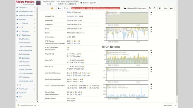 Allegro Firmware Release 3.0 - VoIP- und DNS-Analyse смотреть онлайн