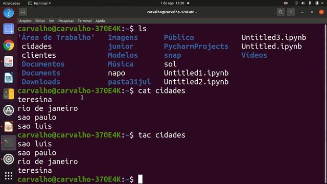 Terminal do Linux | ls, cat, tac e criando arquivo txt direto do terminal смотреть онлайн
