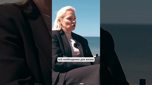 Приехать и перезагрузиться в Nordic SPA и A SCAPE в Калининградской области #глэмпинг смотреть онлайн