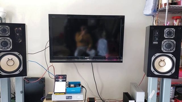 LINUX roon server смотреть онлайн