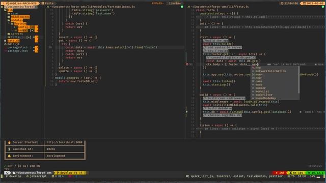 My basic development Workflow - Nvim, Tmux смотреть онлайн