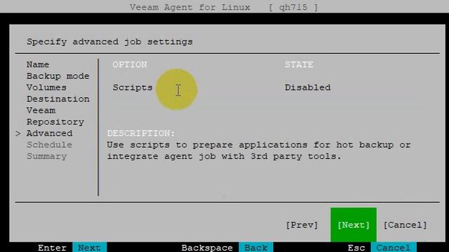 Setup Veeam Agent for Linux смотреть онлайн