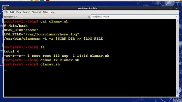 Linux Sys Admin II Week : ClamAV Antivirus Software (Part 2) смотреть онлайн