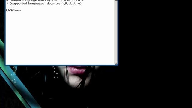 Linux Salvaje: 4MLinux - Evaluación смотреть онлайн