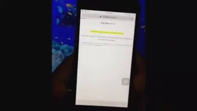Cydia iOS 10.3.2, 10.3.1 смотреть онлайн