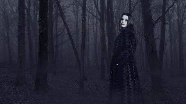 Darkseed - Waiting [ With Lyrics ]