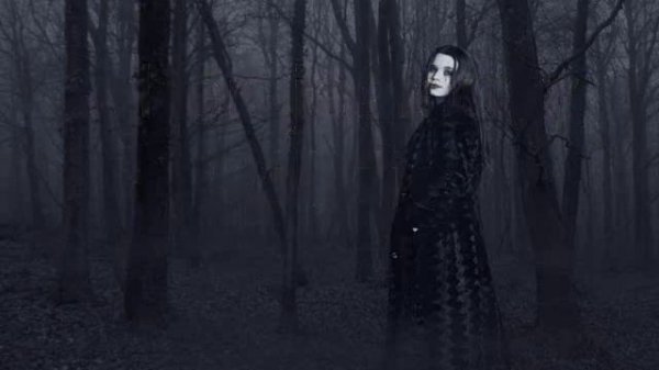 Darkseed - Waiting [ with lyrics ]