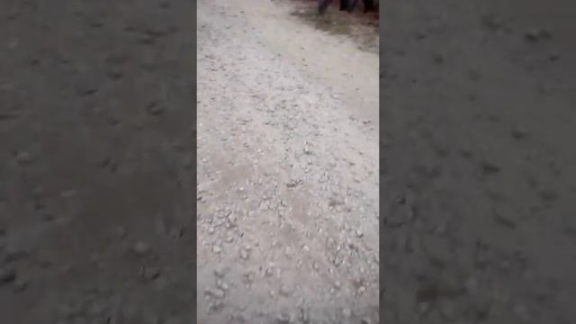 Четвёртая часть жизни школьника смотреть онлайн