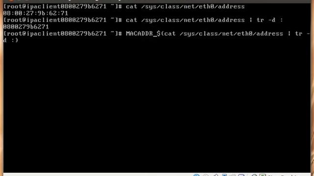 Generating a hostname for your Linux clients смотреть онлайн