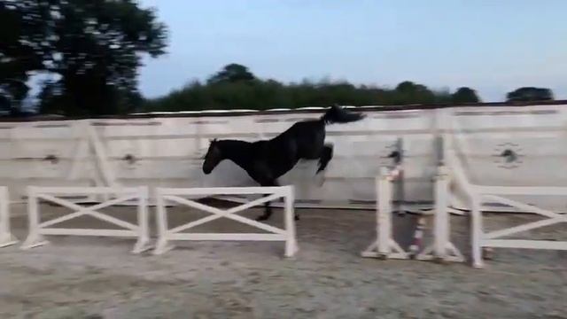 Assad Z: Arezzo VDL x Cento смотреть онлайн