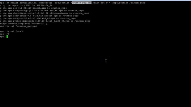 BSA: Creating a custom patch catalog in Red Hat Linux смотреть онлайн