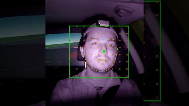 Car Driver Head Tracking смотреть онлайн