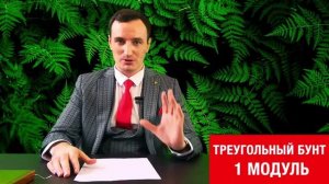 Треугольный бунт: 1-ый модуль. Открытие. Курс для новичков и лидеров МЛМ индустрии