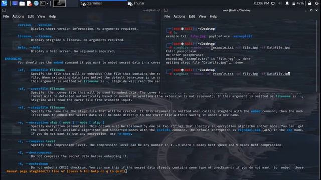 Steghide - Cover Sensitive Files inside Images and audios|Kali Linux| Installation | смотреть онлайн