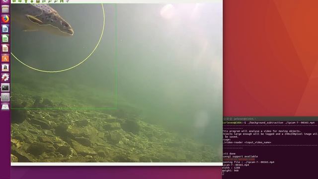CUDA background subtraction in action смотреть онлайн