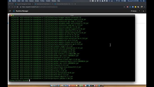 How To - Download & Install Mule Runtime (4.x) - Linux смотреть онлайн