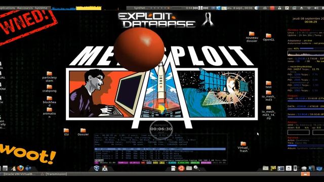 Ubuntu 11.04 - Live Wallpaper With Xwinwrap And Compiz  --- DangerBall !!