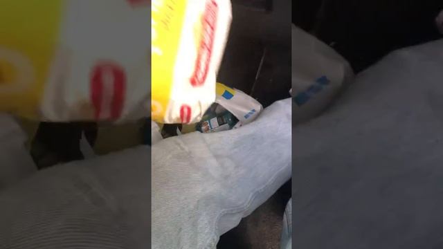 preparations for Easter bun смотреть онлайн