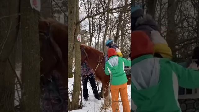 СказкоИппоТерапия смотреть онлайн