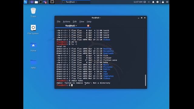 Système GNU / Linux : Explication & Utilisation !! [TUTO] : Kali Linux & Ubuntu смотреть онлайн