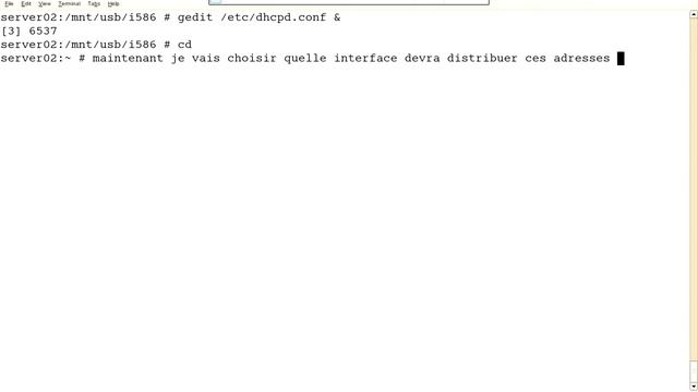 DHCP Linux (SLES) смотреть онлайн