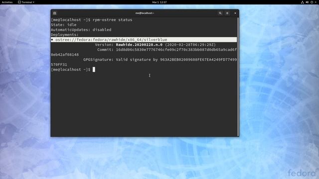 Silverblue 32: Feat. Flatpak pre-installed Apps - Feat. Nyanners Startup :) смотреть онлайн
