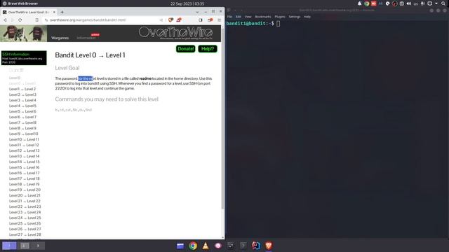 Practice Linux Level 1 - Introduction смотреть онлайн