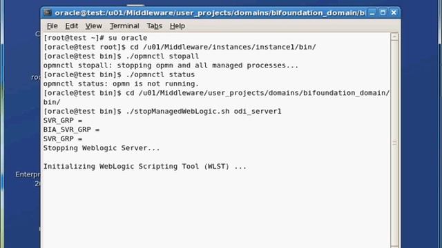 STOPPING OBIEE 11G SERVICES AND SERVERS ON LINUX смотреть онлайн