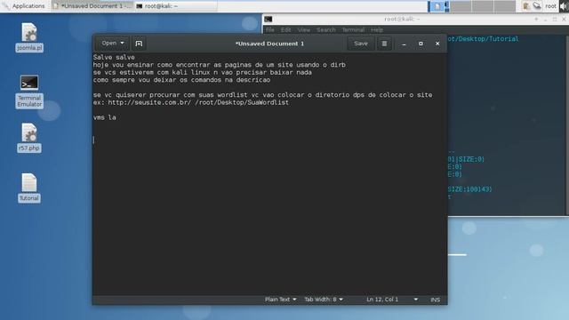DIRB-Encontrando Paginas De Um Site|Kali Linux смотреть онлайн