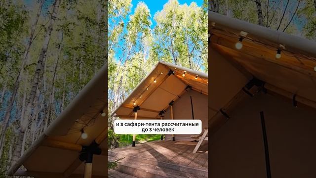В чем пожить в глэмпинге "Берег Грифона"? Подробно рассказали в нашем новом видео! Уже на канале ✔ смотреть онлайн