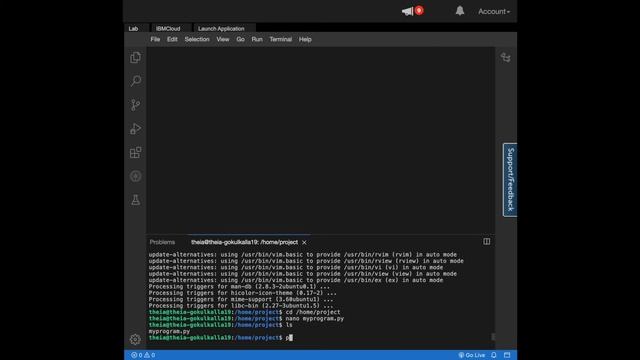 Interacting with Linux Terminal | Navigating directories | execute shell commands | 'nano' смотреть онлайн