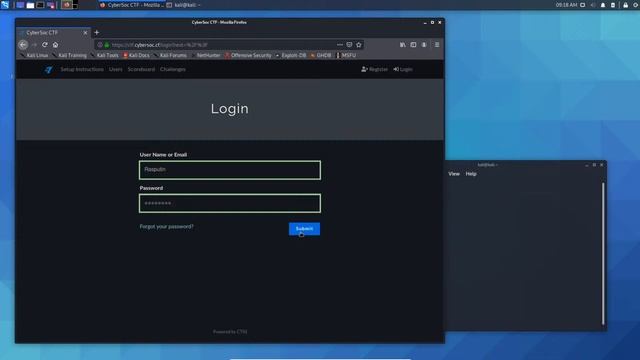Workshop 2: CTF Setup смотреть онлайн