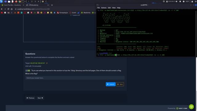Attacking Web Applications with Ffuf: Page Fuzzing смотреть онлайн