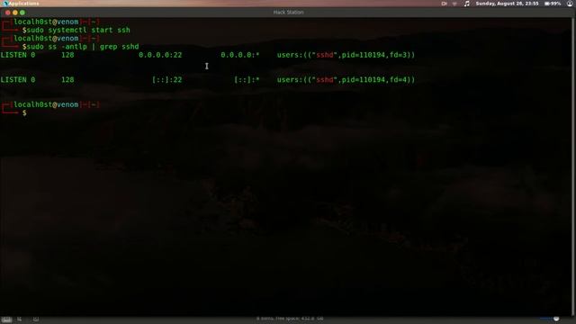 managing services on parrot linux смотреть онлайн