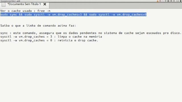 EXCLUIR CACHE LINUX(UBUNTU) смотреть онлайн